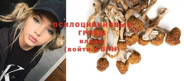 стаф Зеленодольск