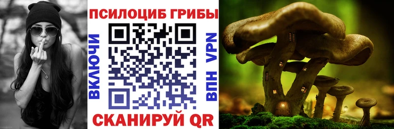 Галлюциногенные грибы MAGIC MUSHROOMS  Руза 